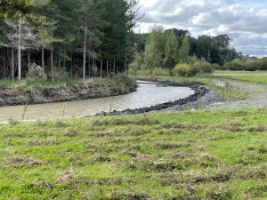 Site conditions