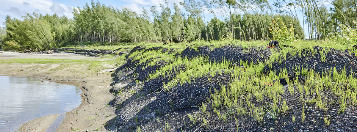 Parewanui Erosion Control Project